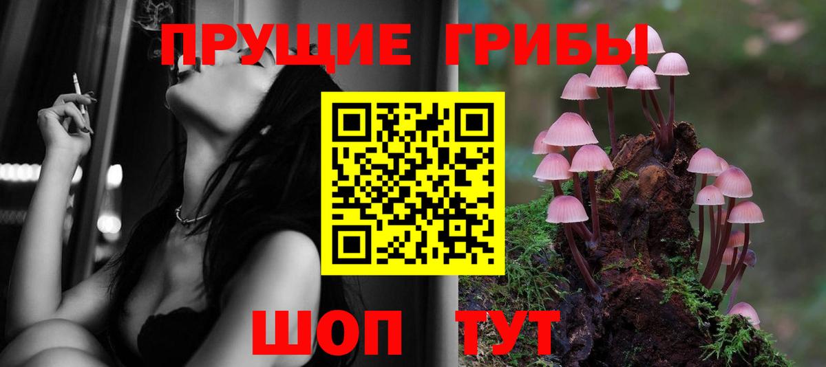 Псилоцибиновые грибы Psilocybine cubensis Кимовск